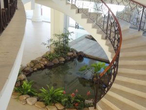 hồ cá gầm cầu thang