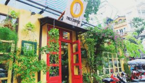cay xanh trang tri quan cafe 1