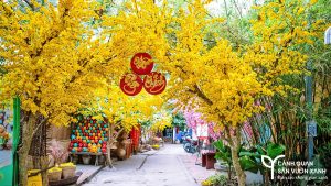 tieu canh tet que 2